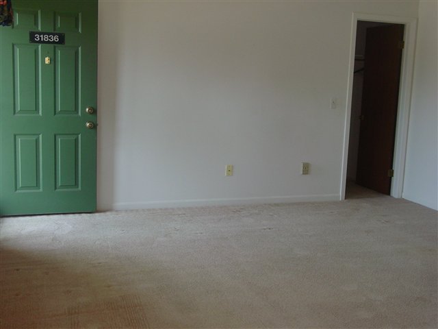 31010563-1.JPG