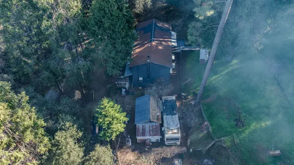 a garden view with a lake