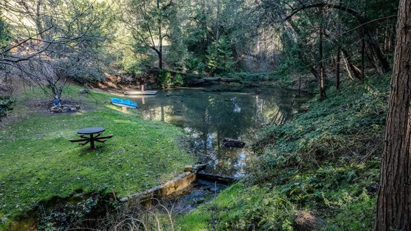 a view of a back yard