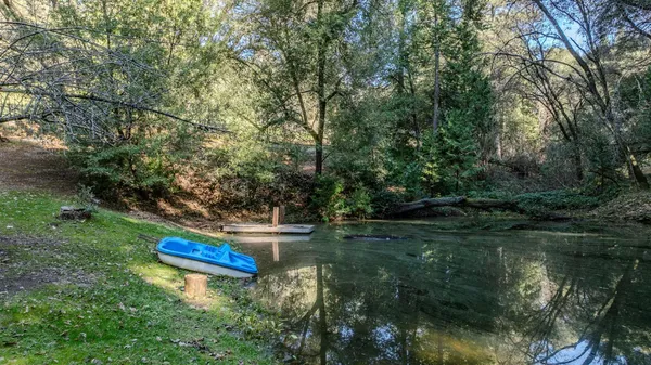 a view of a backyard with table and chairs plants and trees