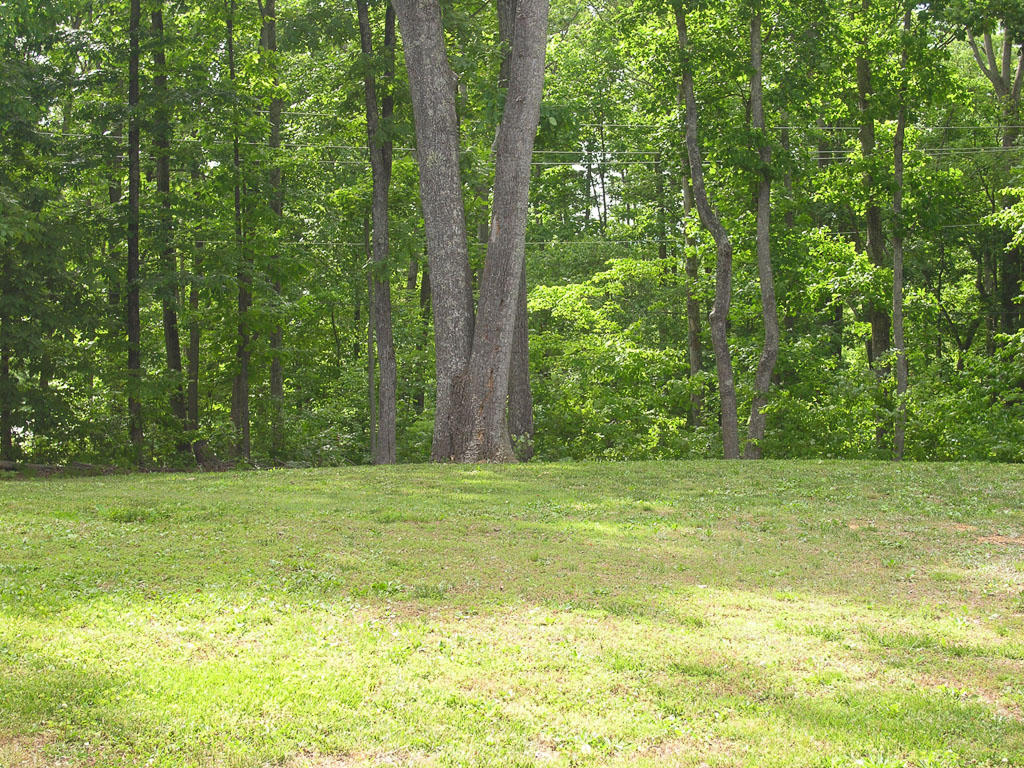 1150 Stony Point Road Knoxville, TN 37914 - Photo 20 of 22 1150_Stony_Point_120