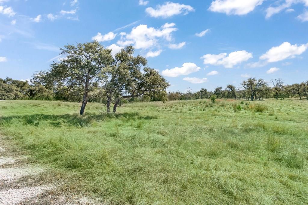 366 Inspiration Loop, Unit 43 Comfort, TX 78013 - Photo 1 of 30 Main View