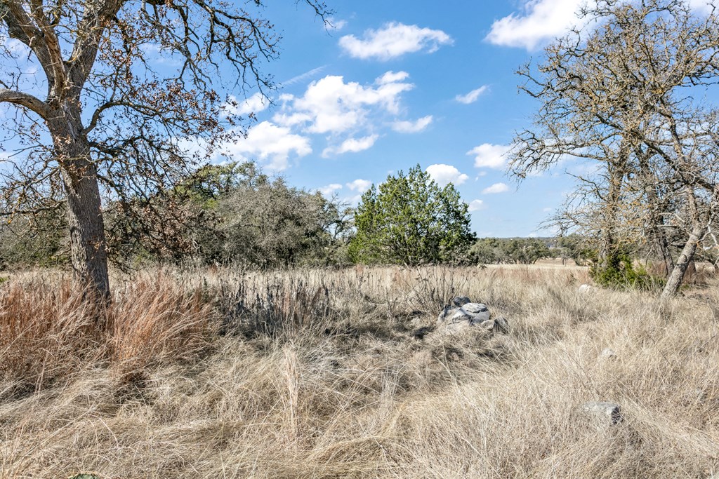 366 Inspiration Loop, Unit 43 Comfort, TX 78013 - Photo 19 of 30 Gallery Image 19