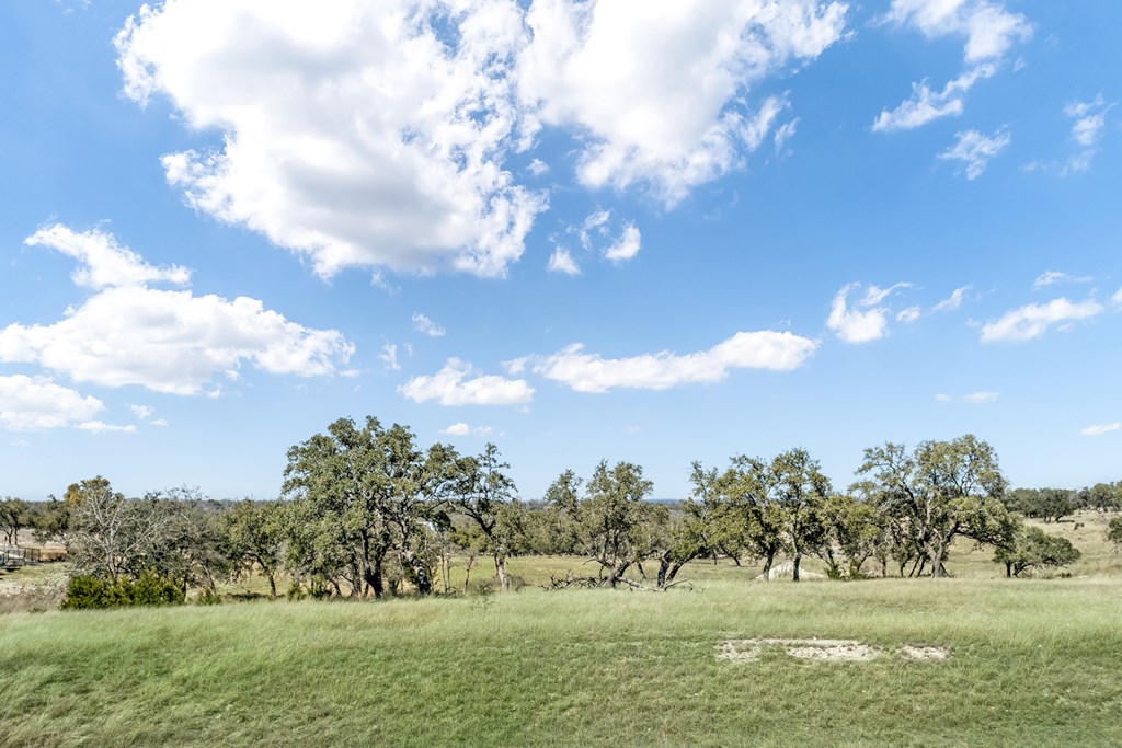 366 Inspiration Loop, Unit 43 Comfort, TX 78013 - Photo 2 of 30 Gallery Image 2