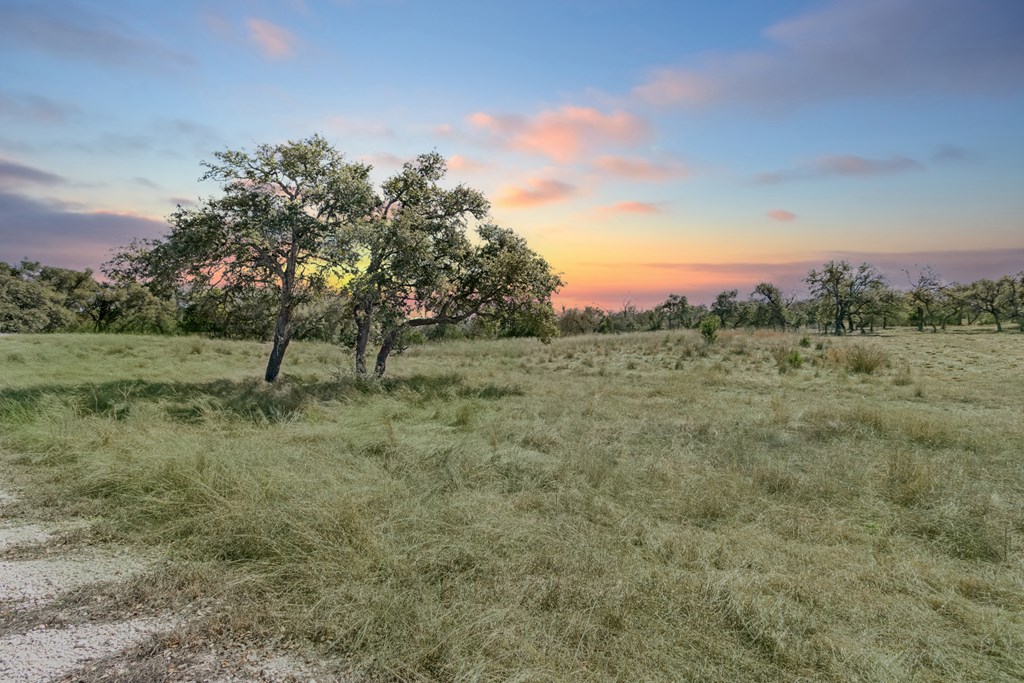 366 Inspiration Loop, Unit 43 Comfort, TX 78013 - Photo 25 of 30 Gallery Image 25
