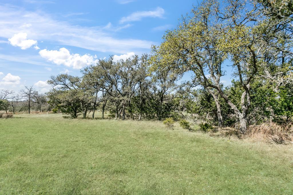 366 Inspiration Loop, Unit 43 Comfort, TX 78013 - Photo 4 of 30 Gallery Image 4