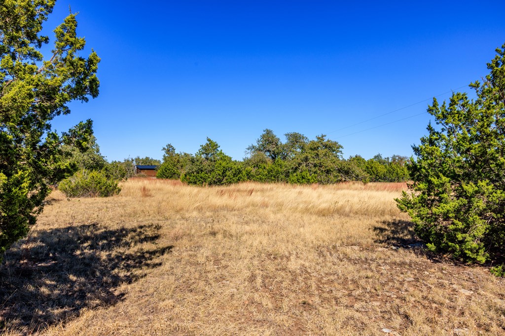 130 Ranch Road Fredericksburg, TX 78624 - Photo 3 of 28