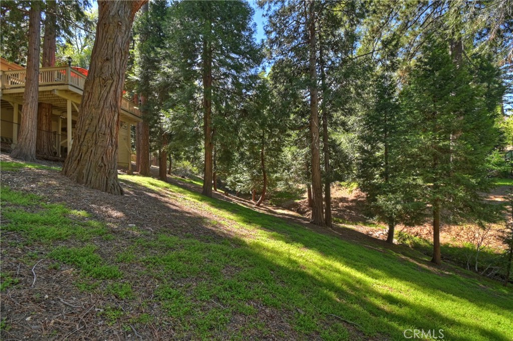 355 Cedar Ridge Drive Lake Arrowhead, CA 92352 - Photo 43 of 65 Let the kids and animals roam...completely fenced lot.