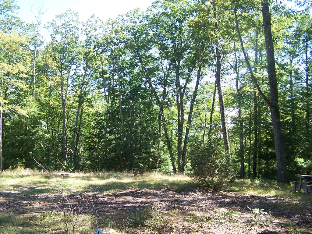 Tbd Blue Springs Road, Unit 18A2 Troutdale, VA 24378 - Photo 29 of 42 Gallery Image 29