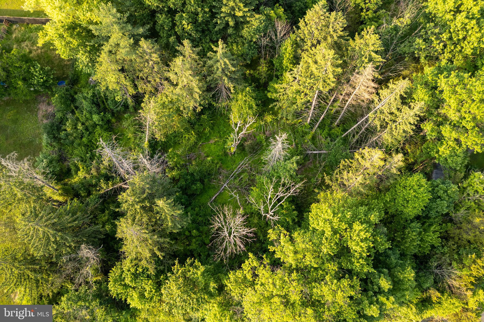 0 Hoffmansville Road Frederick, PA 19435 - Photo 9 of 16