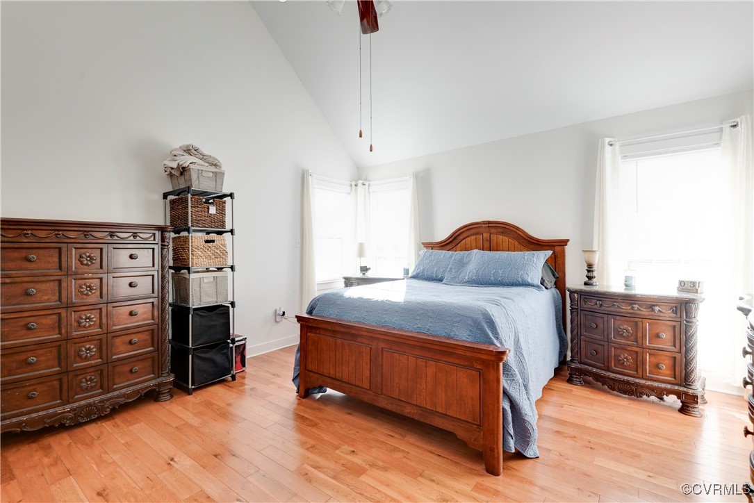 14055 Princess Mary Road Chesterfield, VA 23838 - Photo 20 of 41 Bedroom with light wood-type flooring and high vau