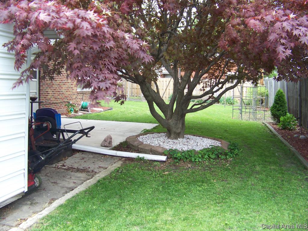 2952 South 5th Street Springfield, IL 62703 - Photo 25 of 28