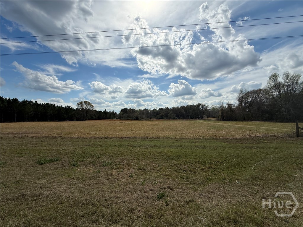 997 Darwell Long Road Ludowici, GA 31316 - Photo 3 of 3