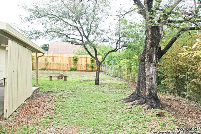 a view of a yard with large tree