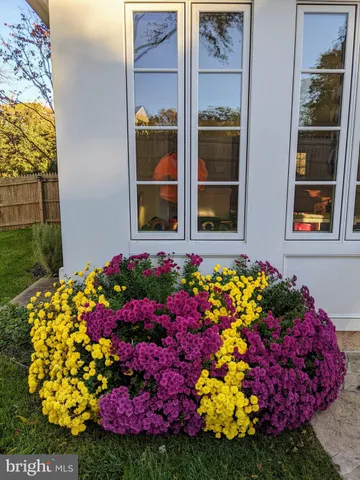 a front view of house with yard and entertaining space
