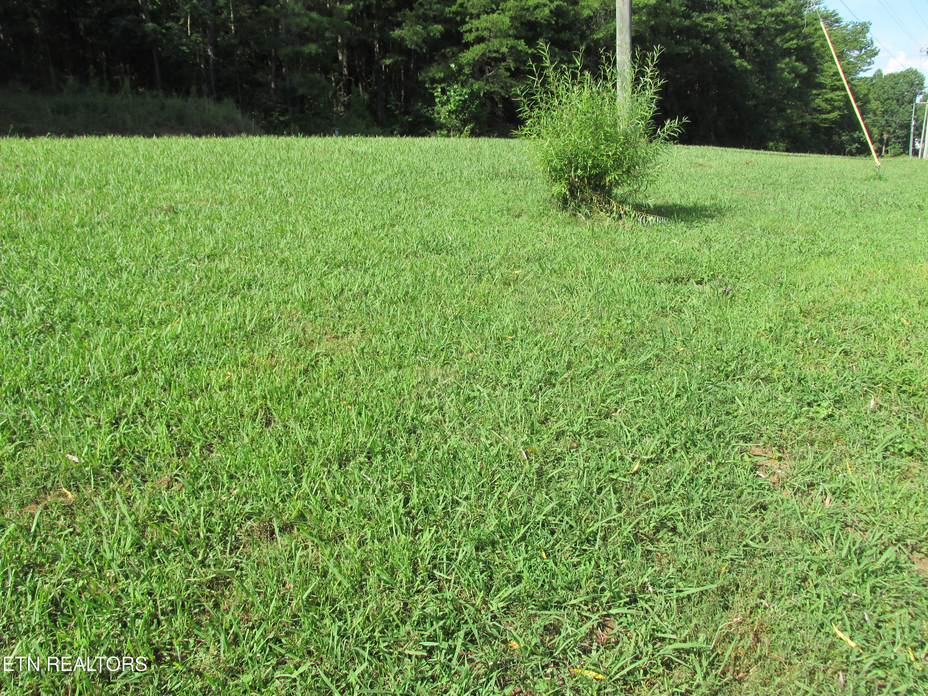 234 Scenic View Road Madisonville, TN 37354 - Photo 12 of 24 IMG_5327