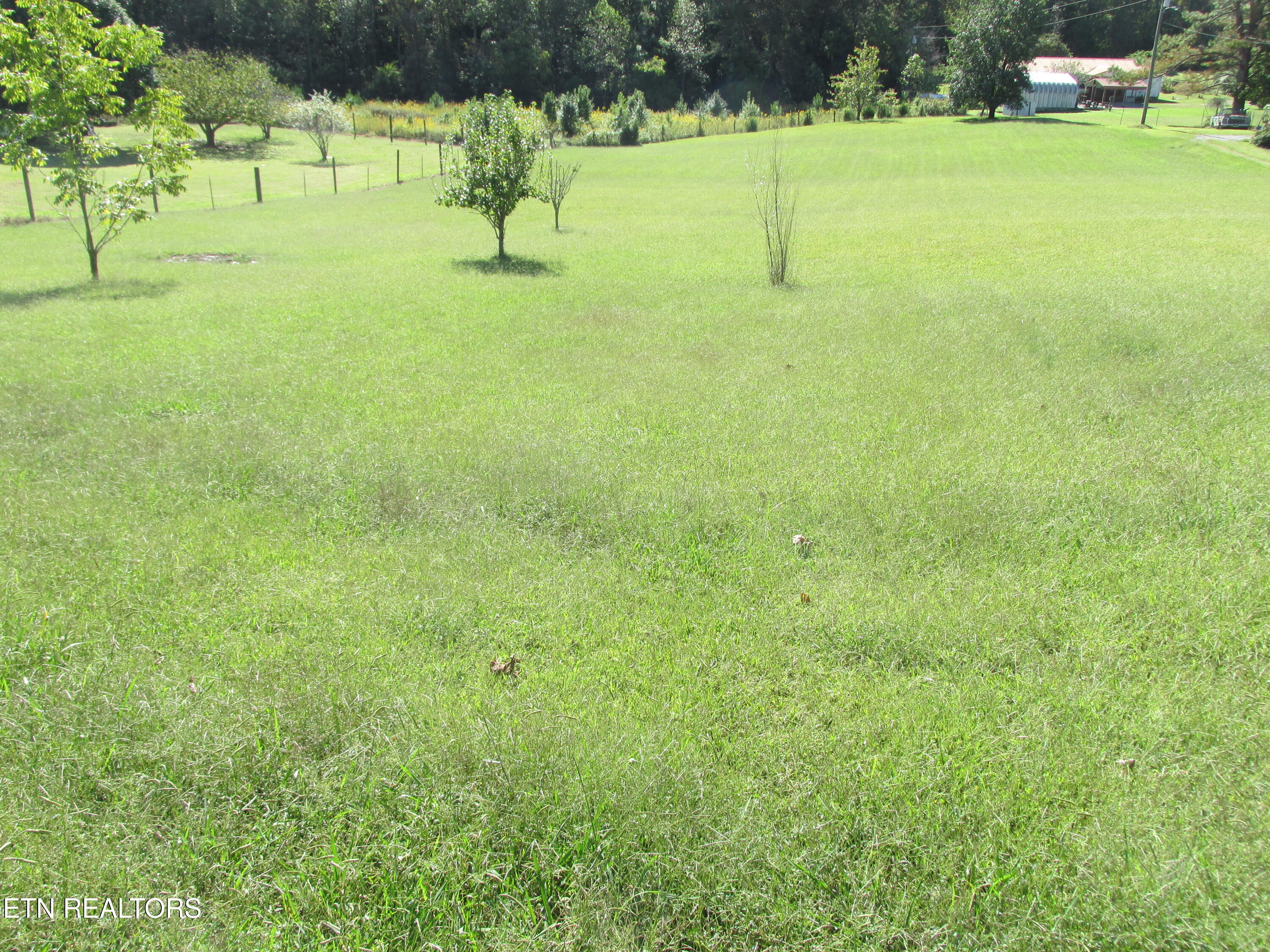 234 Scenic View Road Madisonville, TN 37354 - Photo 20 of 24 IMG_5478