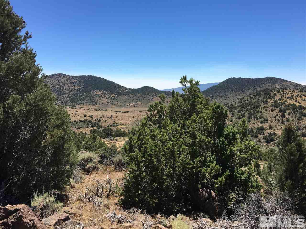 3 A Hanaupah Road Reno, NV 89521 - Photo 2 of 10 a view of a mountain range with a forest