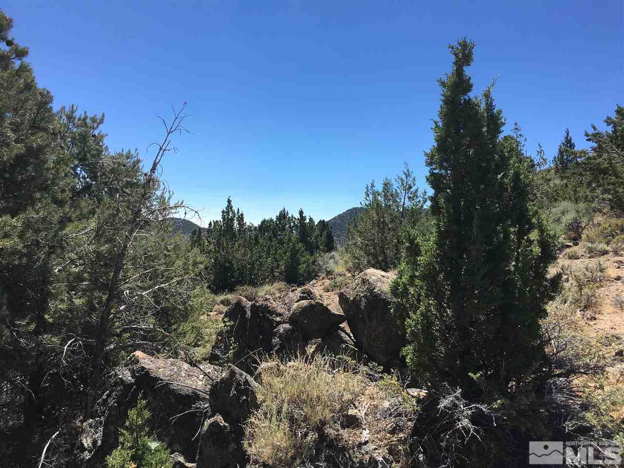 3 A Hanaupah Road Reno, NV 89521 - Photo 4 of 10 a view of a forest with trees in the background