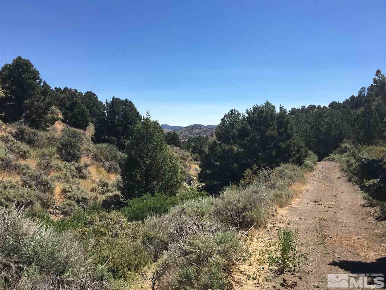 3 A Hanaupah Road Reno, NV 89521 - Photo 5 of 10 a view of a dry yard with trees in the background