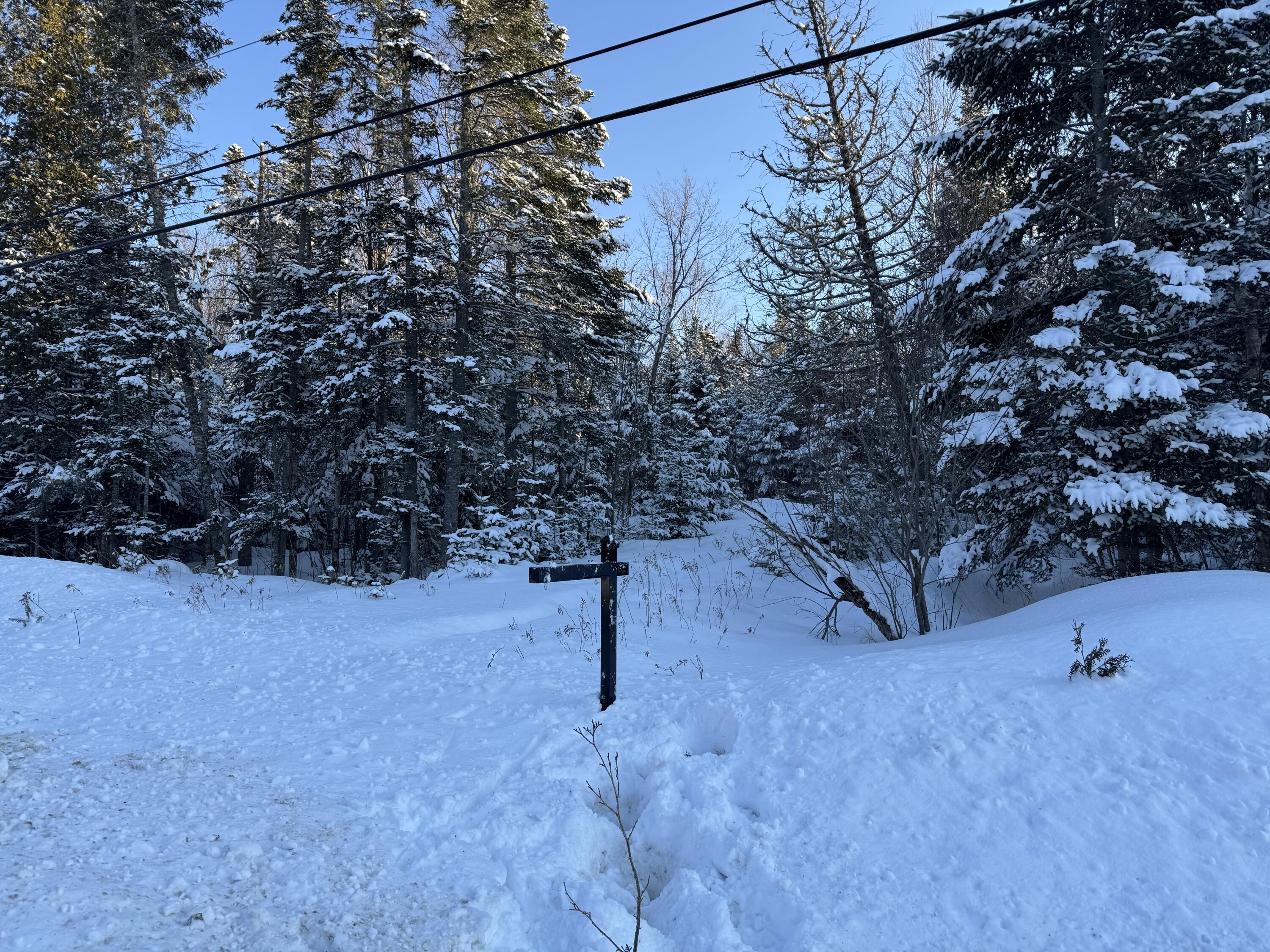 101 Saddleback Mountain Road Dallas Plt, ME 04970 - Photo 3 of 7 Photo Feb 21 2026, 4 10 55 PM