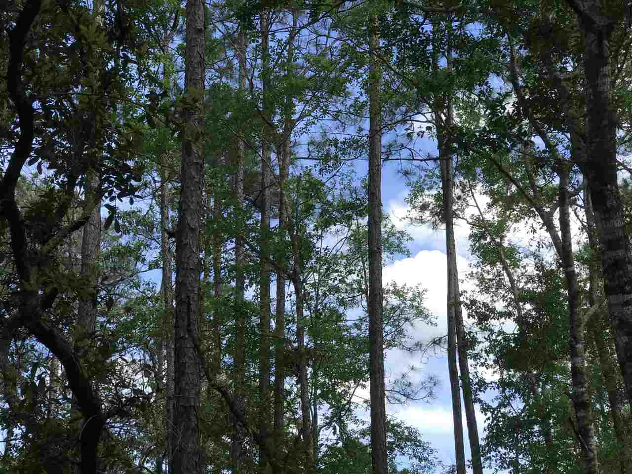 0 Boynton Road Elberta, AL 36530 - Photo 8 of 29