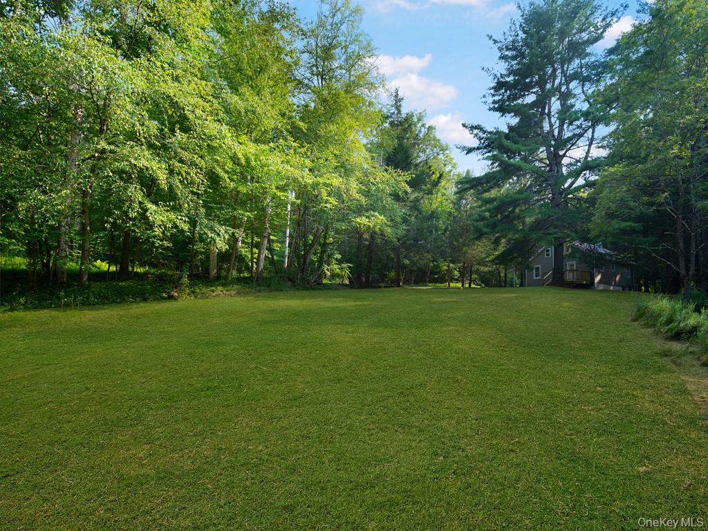 59 Corbin Road Dover Plains, NY 12522 - Photo 12 of 16 a view of yard with green space