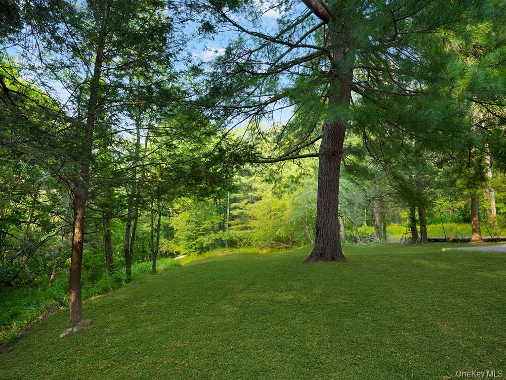 59 Corbin Road Dover Plains, NY 12522 - Photo 14 of 16 a view of outdoor space with a garden