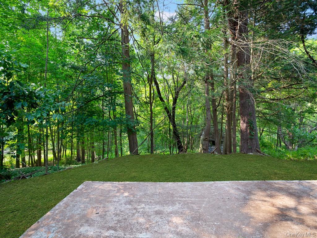 59 Corbin Road Dover Plains, NY 12522 - Photo 15 of 16 a view of a park with a trees