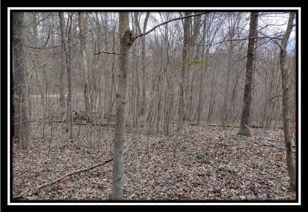 500 Raysville Road Jackson, OH 45640 - Photo 22 of 34 image022