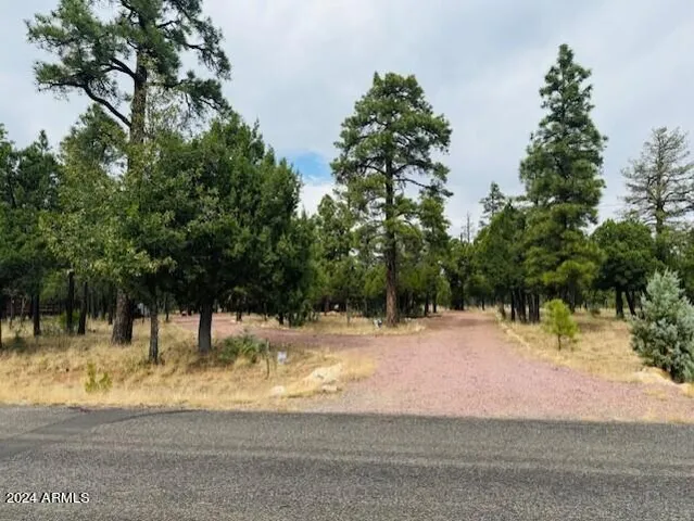$499,000 | 4780 Starlight Drive, Happy Jack, AZ 86024