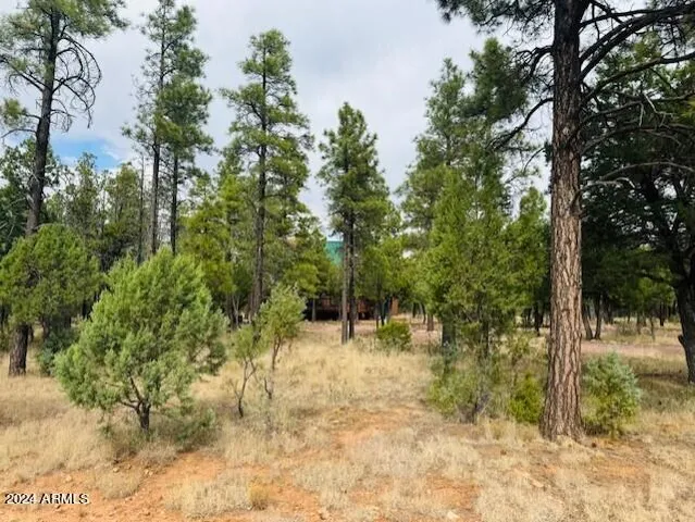 $499,000 | 4780 Starlight Drive, Happy Jack, AZ 86024