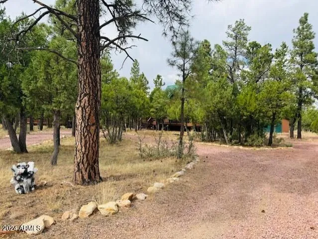 $499,000 | 4780 Starlight Drive, Happy Jack, AZ 86024
