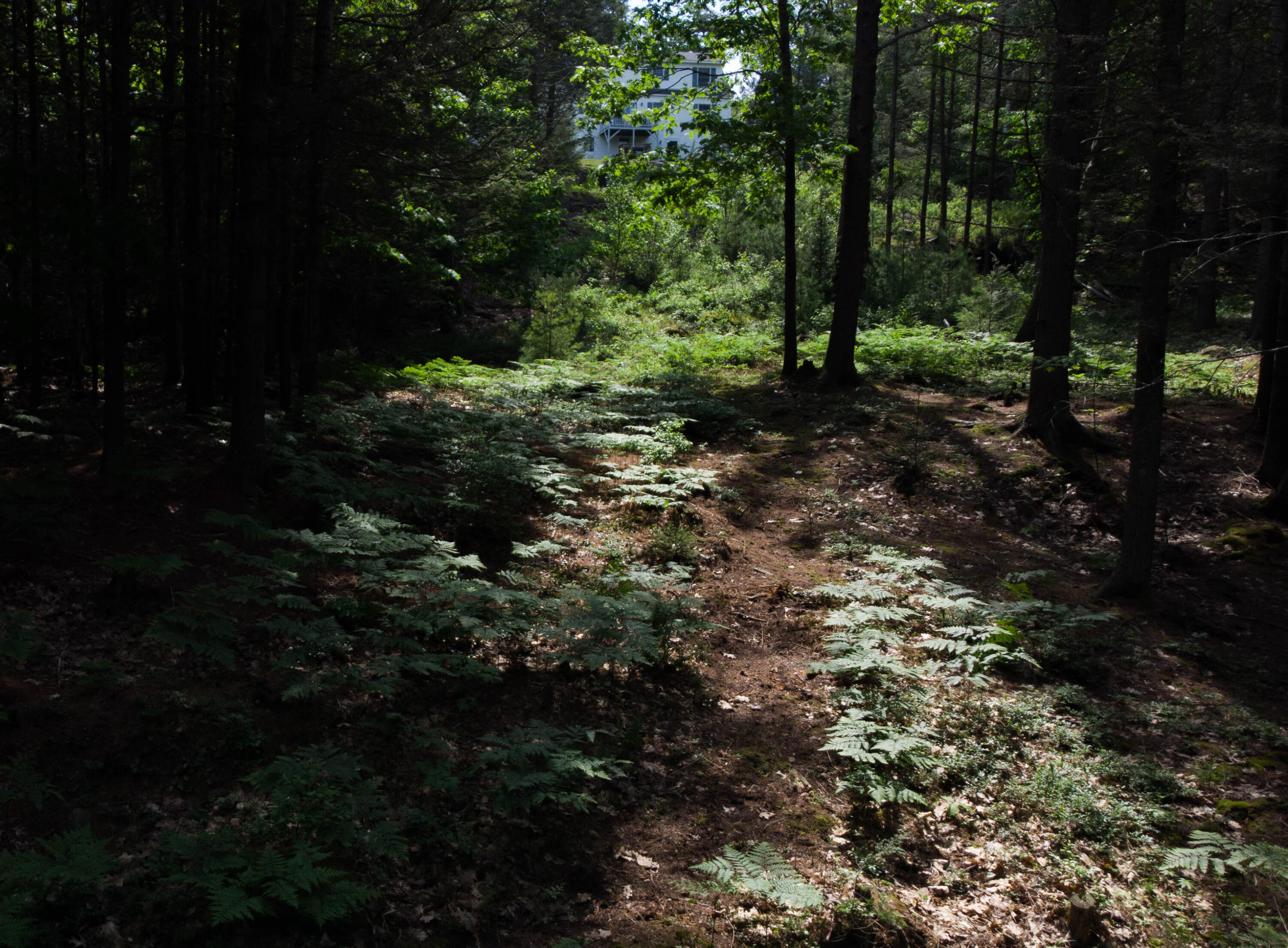 56 Cushman Point Road Wiscasset, ME 04578 - Photo 31 of 38 DJI_0156