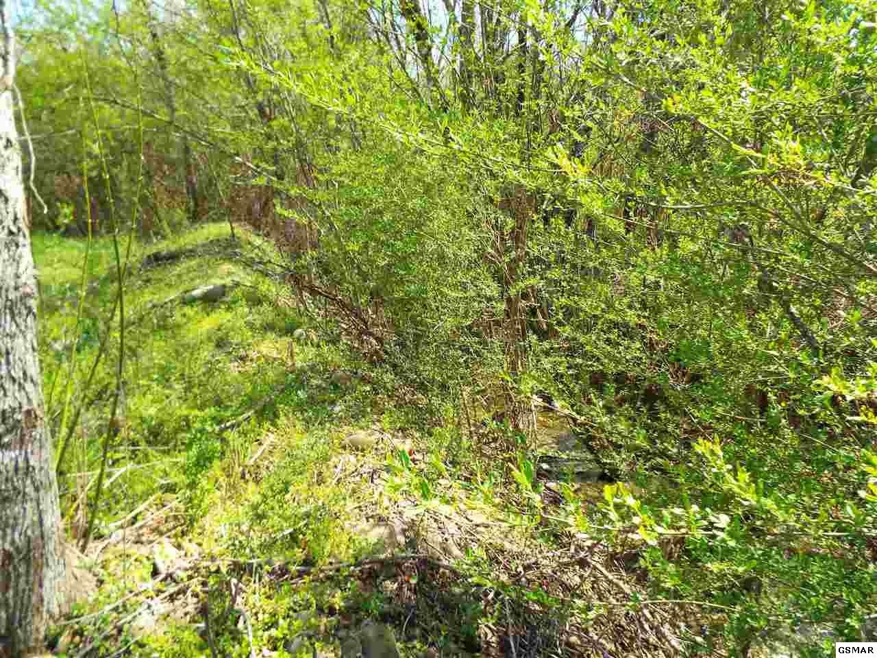 9 Padgett Mill Road Cosby, TN 37722 - Photo 15 of 25 Gallery Image 15