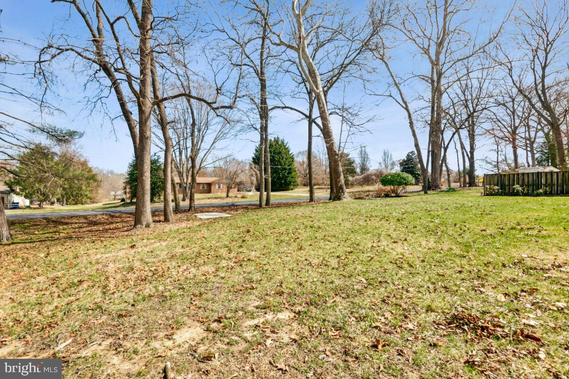 11213 Oakwood Drive Dunkirk, MD 20754 - Photo 47 of 48 a view of road with large trees