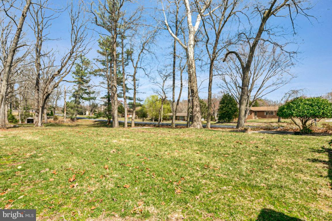 11213 Oakwood Drive Dunkirk, MD 20754 - Photo 48 of 48 a view of yard with tree