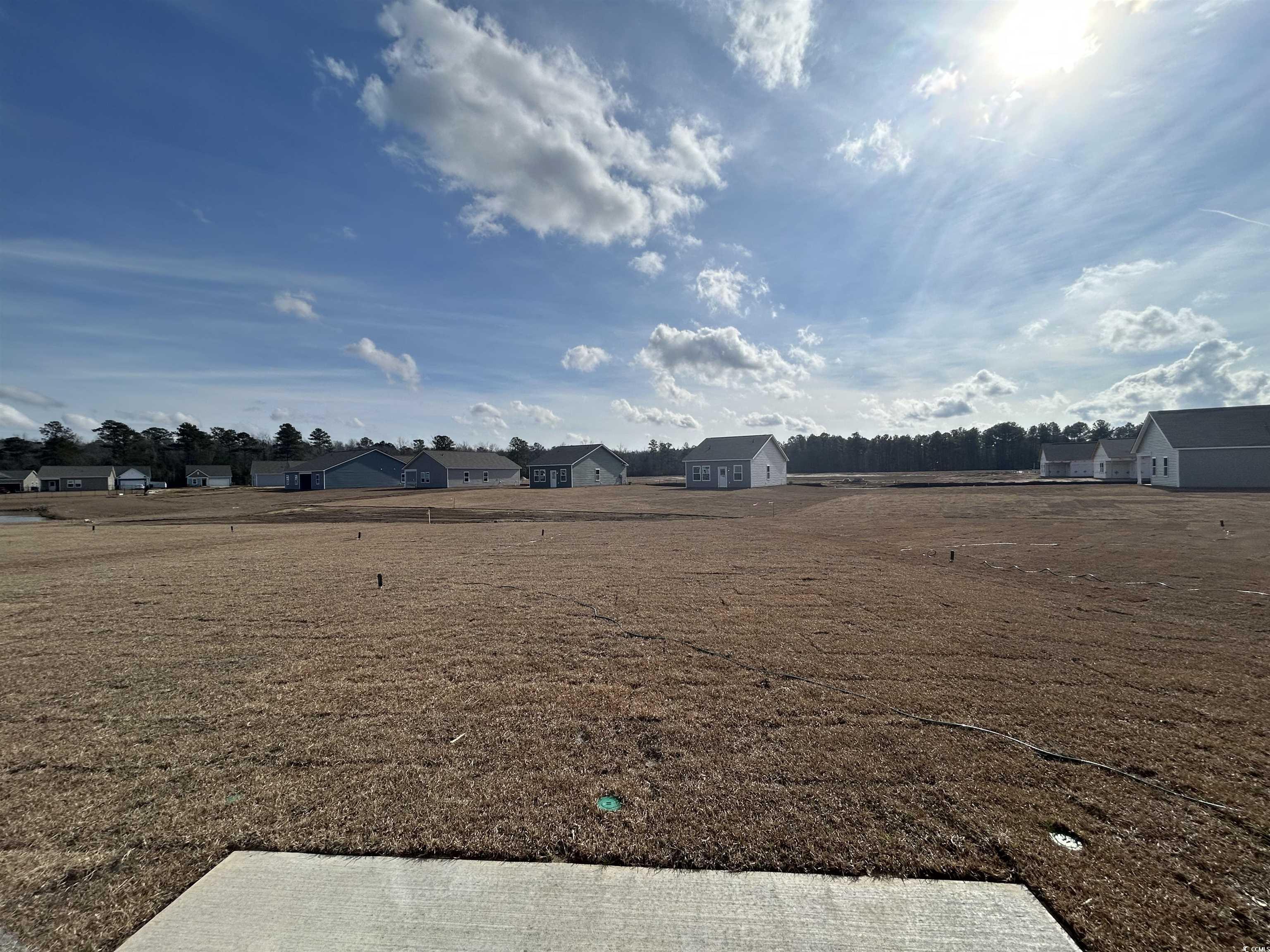 443 Castillo Drive Longs, SC 29568 - Photo 30 of 32 View of yard featuring a residential view