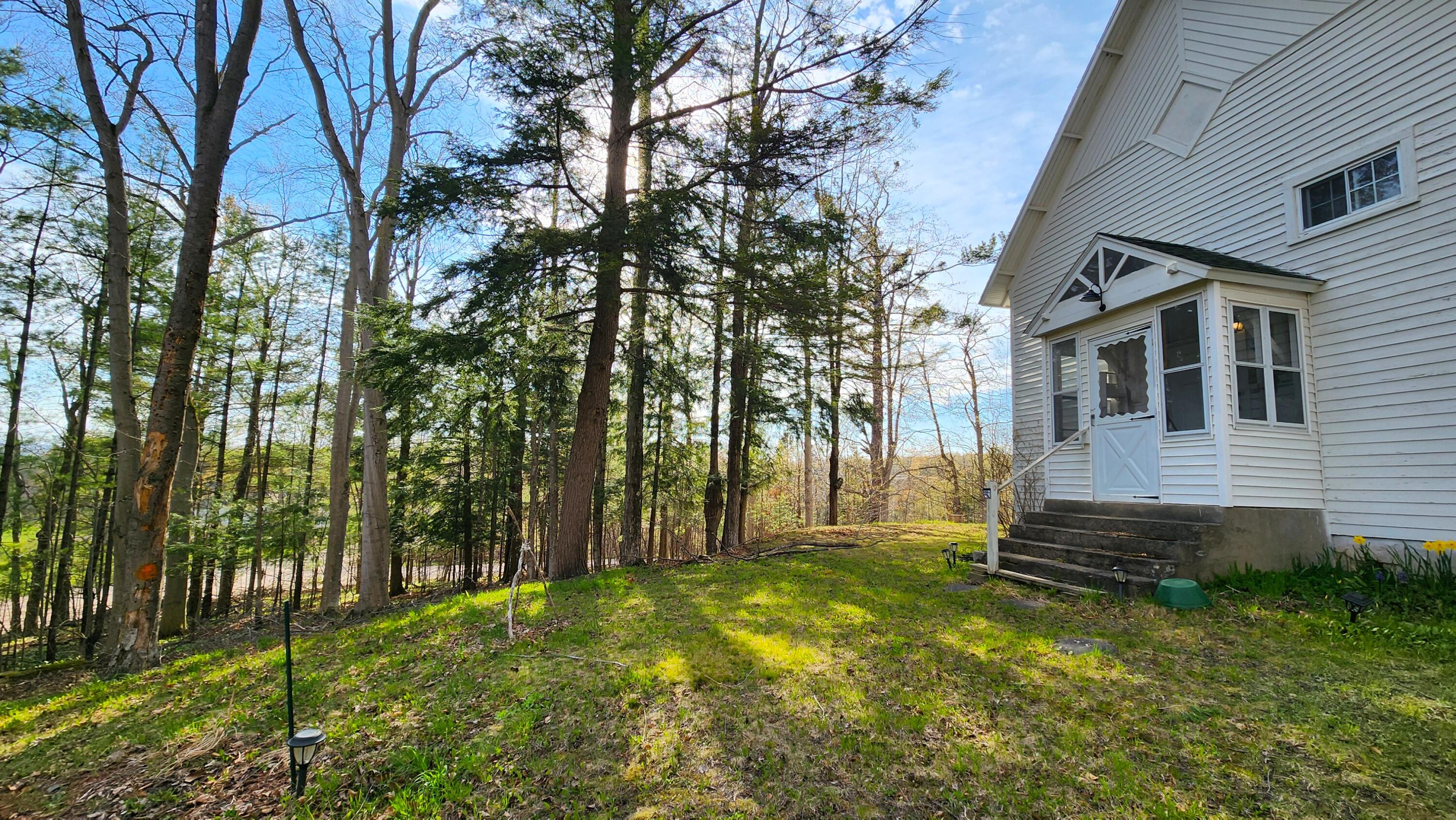 3981 East West Resort Road Alanson, MI 49706 - Photo 46 of 50 View looking west