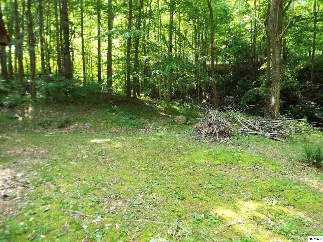 231 Trinity Way Del Rio, TN 37727 - Photo 9 of 29