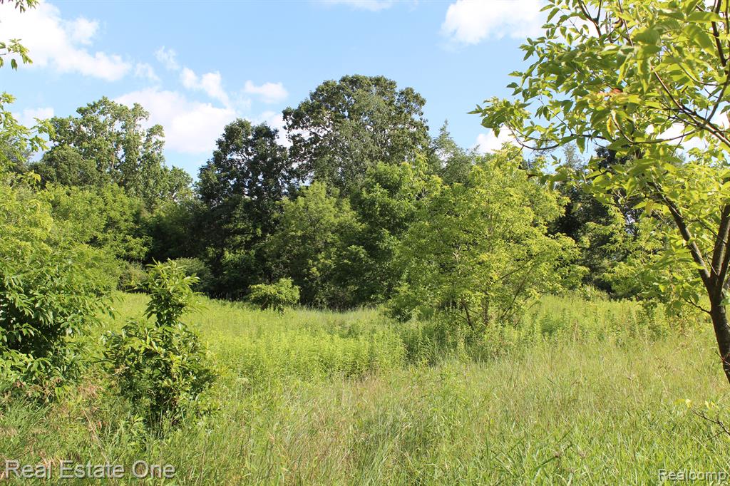 0 Norton Road Howell, MI 48843 - Photo 24 of 26 Gallery Image 24