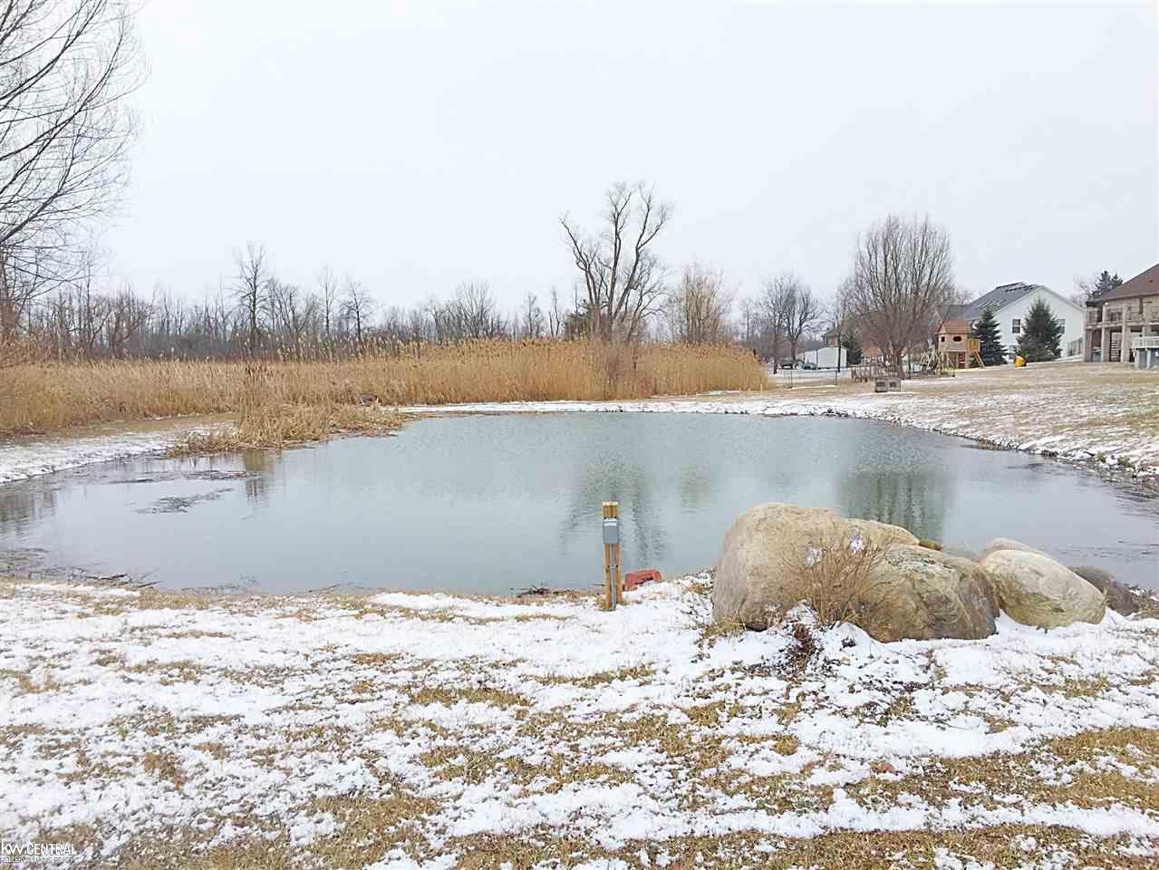 74562 Gould Road Romeo, MI 48065 - Photo 33 of 34