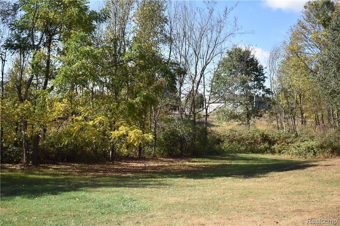 5541 Wasson Road Pinckney, MI 48169 - Photo 20 of 22 20. Backyard