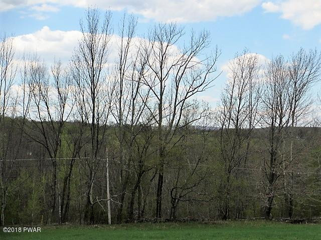 0 Sepko Road Moscow, PA 18444 - Photo 8 of 9 Ridge Line