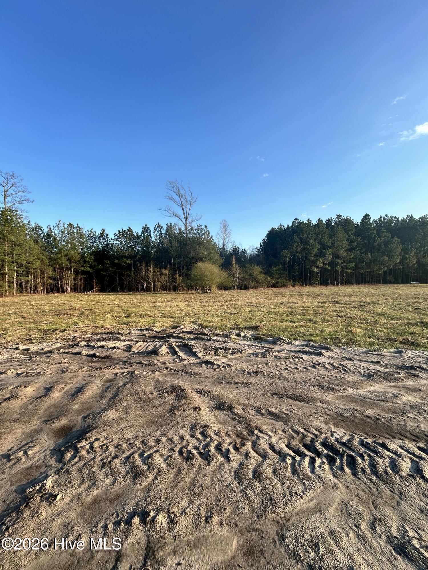 2889 Catherine Lake Road Richlands, NC 28574 - Photo 25 of 32 Backyard