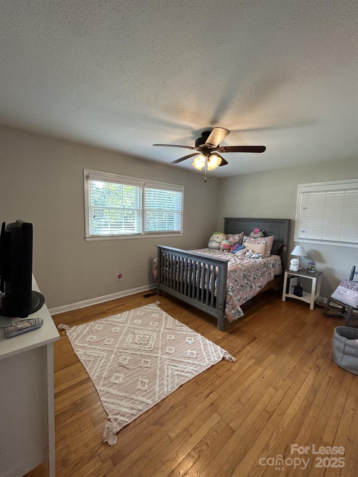 6317 Morehead Road Harrisburg, NC 28075 - Photo 9 of 10 a bedroom with furniture and a window