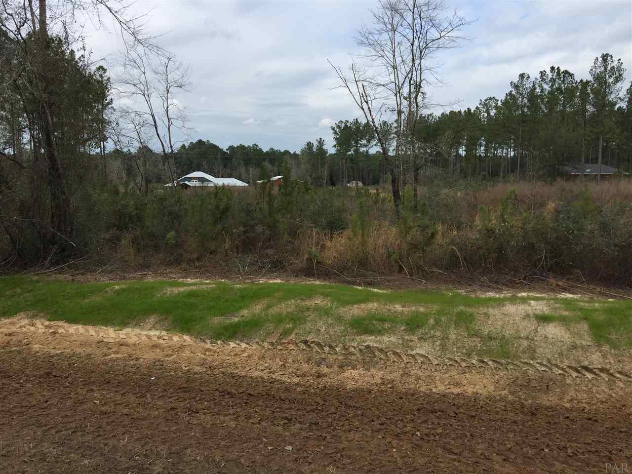 4850 Willard Norris Road Milton, FL 32570 - Photo 1 of 1 Gallery Image 1