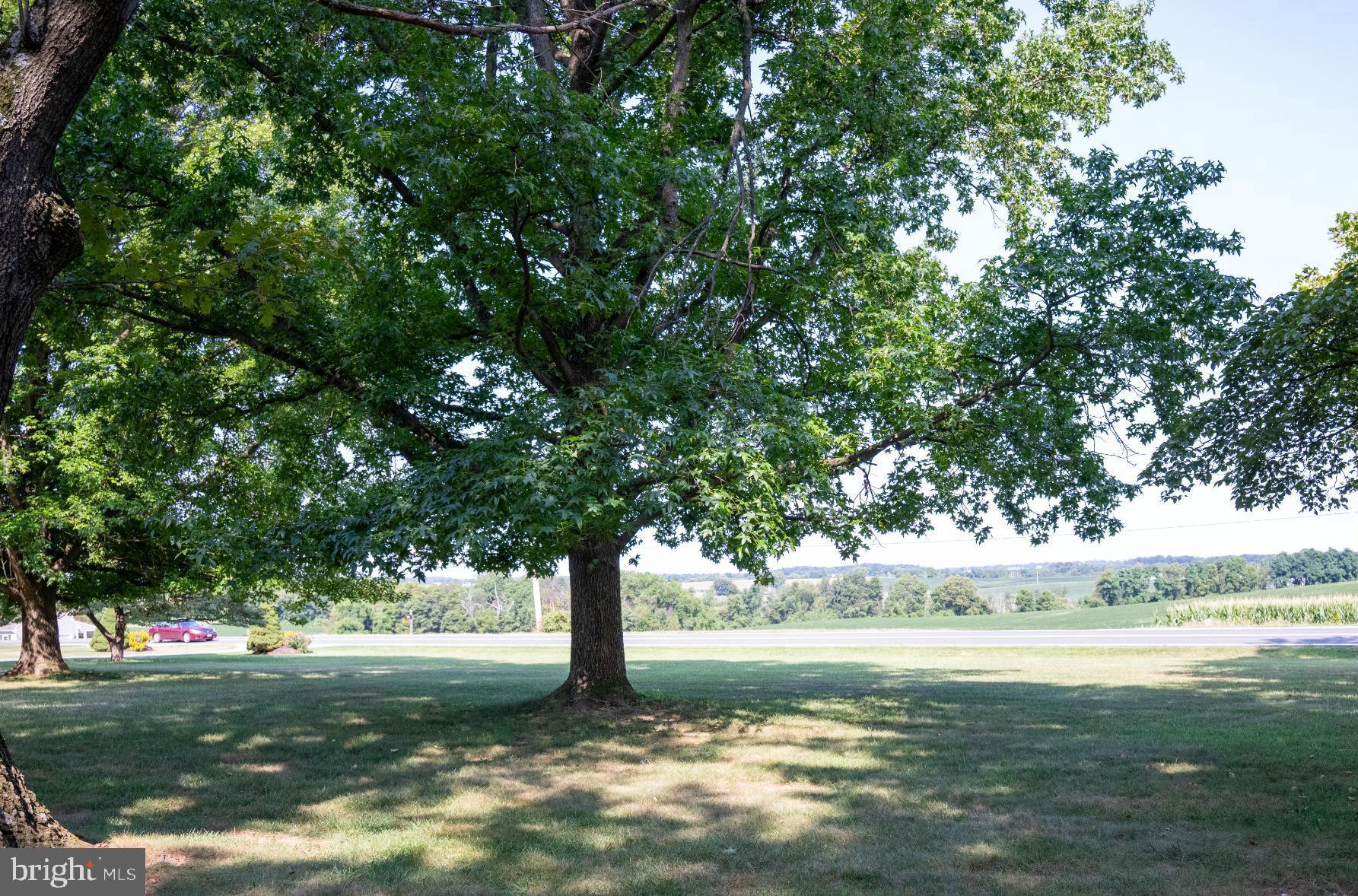 715 Sullivan Road Westminster, MD 21157 - Photo 20 of 59 a view of a yard with a tree