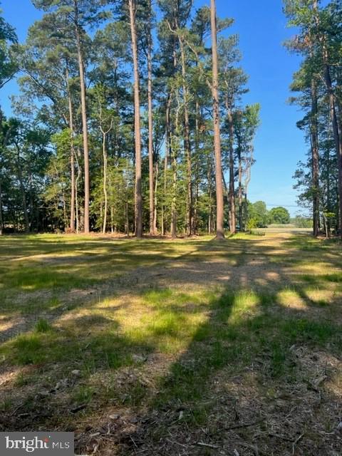 17328 St Jeromes Neck Road Dameron, MD 20628 - Photo 3 of 19 DRIVEWAY VIEW