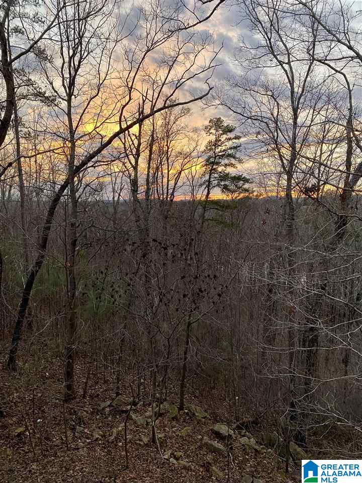 3399 Smith Sims Road Trussville, AL 35173 - Photo 4 of 45